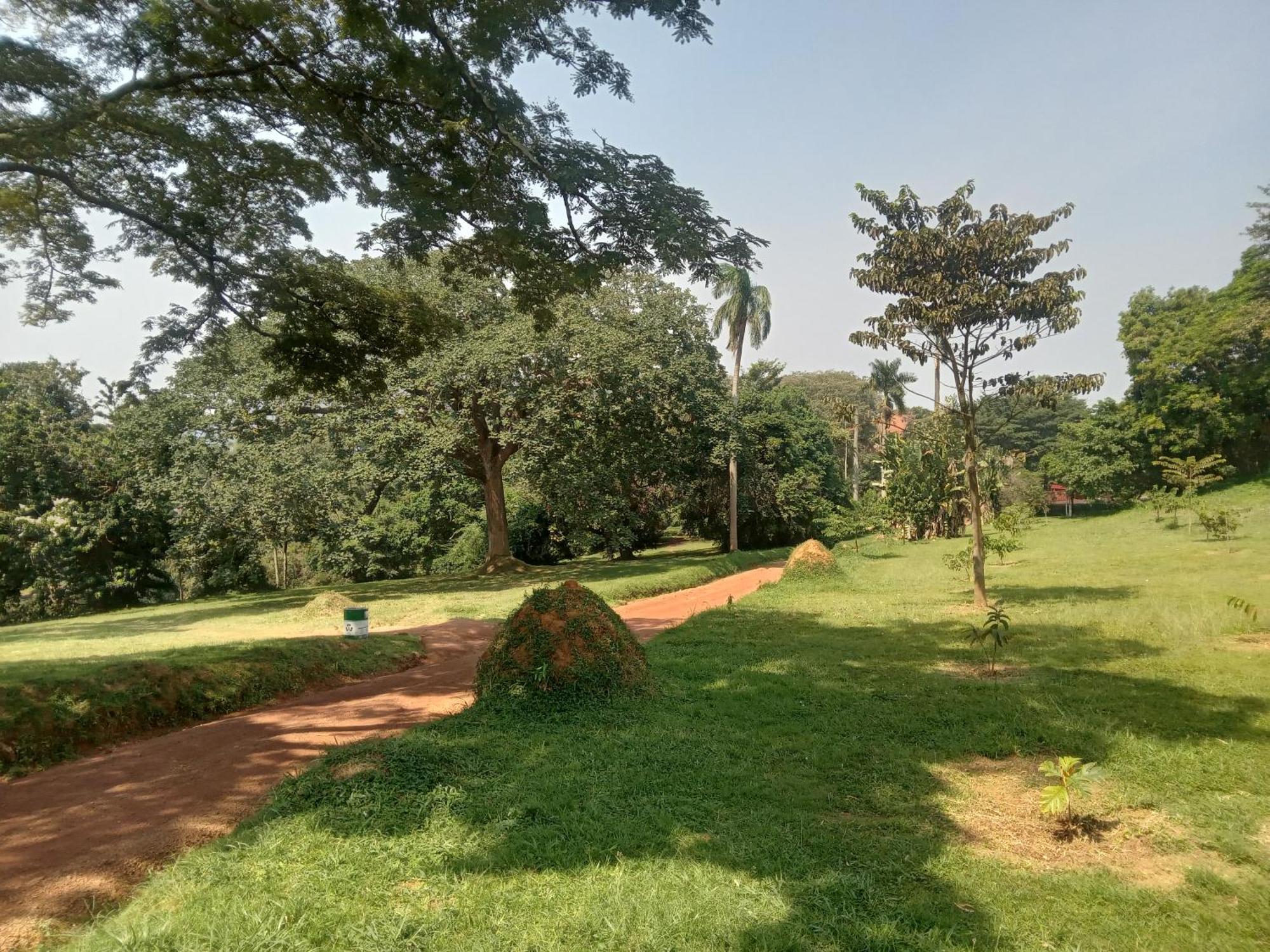 Mowicribs Hotel And Spa Entebbe Quarto foto